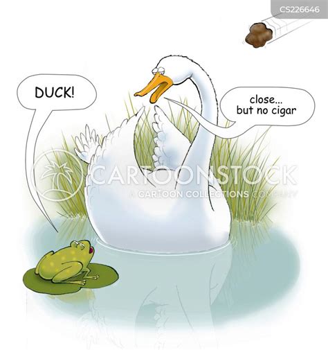 Swan Cartoons and Comics - funny pictures from CartoonStock