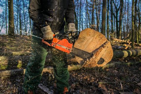 The Different Types of Chain Saw: You Should Know