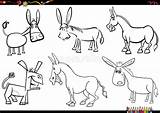 Cartoon Donkeys Farm Animal Characters Set Coloring Page Stock Vector  sketch template