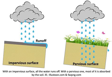 Rain barrel Archives - Laidback Gardener