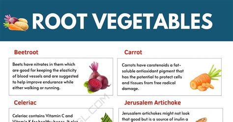 Root Vegetables | List of Root Vegetables & Their Amazing Benefits • 7ESL