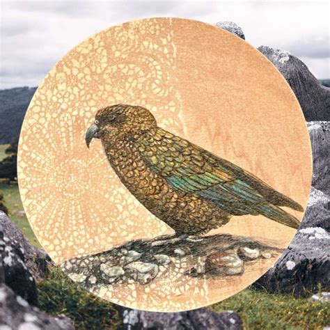 Kea - bird wall art - Just Like You