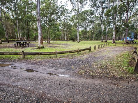 Poverty Creek camping area | Bribie Island National Park and Recreation ...