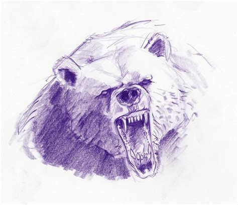 Roaring Bear Drawing at GetDrawings | Free download