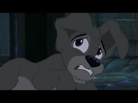 Saving Scamp/Buster's Defeat Scene - Lady and the Tramp 2 Scamp's ...