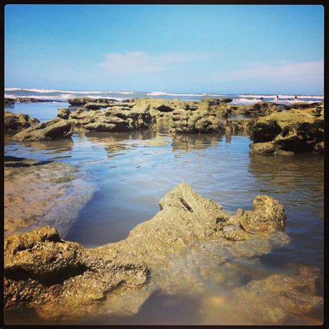 Low tide at Cinnamon Beach, Palm Coast, Florida. Palm Coast Florida ...