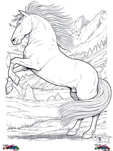 Realistic Horse Coloring Pages Rainbow Coloring - Riset