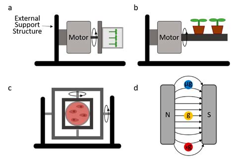 Applied Sciences | Free Full-Text | Advantages and Limitations of Current Microgravity Platforms ...