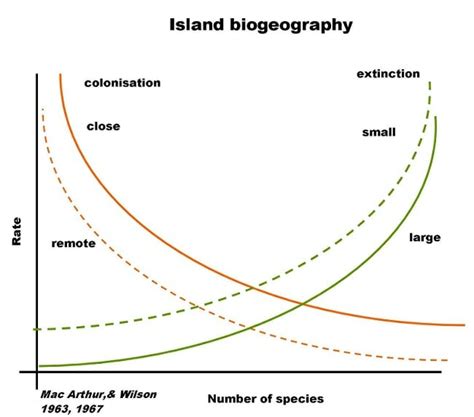 Island Biogeography: Theory and Examples | Biology Dictionary