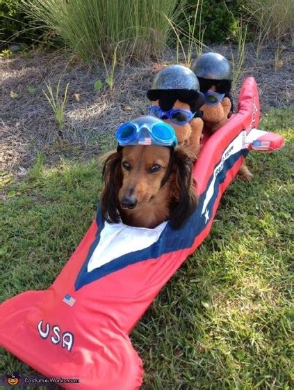 10 Homemade Costumes for Dogs | Ammo the Dachshund