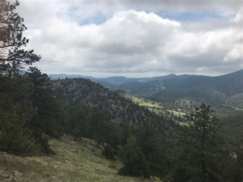 Burro Loop Trail - Colorado | AllTrails