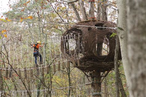 Navitat's Ijams Canopy Experience in Knoxville, TN | Nature center, Adventure, Tennessee