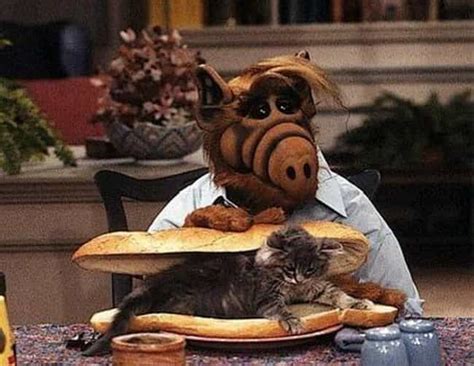 The Most Outrageous Things About 'Alf', The '80s Fever Dream Of A Sitcom