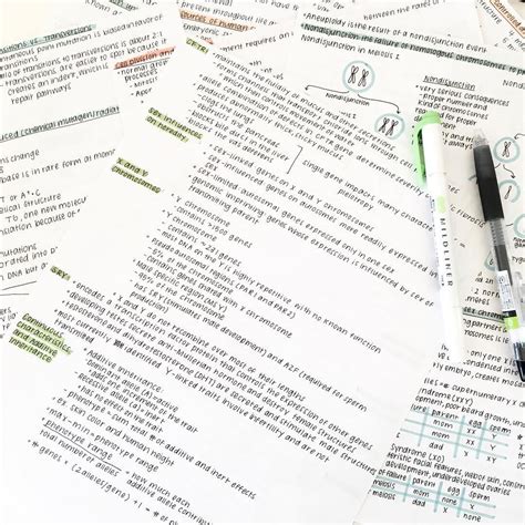 Studygram Inspiration: Get Back to Note Taking with Study Notes