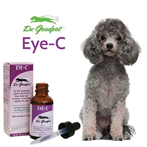 Top 10 Best Eye Drops For Dogs - Best of 2018 Reviews | No Place Called Home