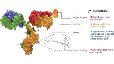 Proteintech Antibodies