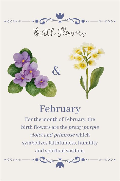 birth flowers, february. | February birth flowers, Birth flowers, Birth flower tattoos