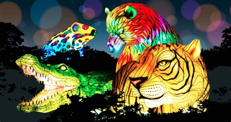 Oakland Zoo's "Glowfari" Shut Down for 2020