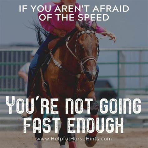 17 Share-Worthy Barrel Racing Quotes in 2020 | Barrel racing quotes ...