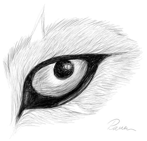 Raven's Eye by Silenthowl7 on DeviantArt