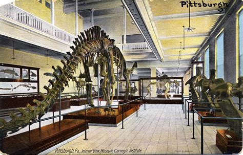 Tour America's History: Carnegie Museum of Natural History: Vertebrate ...