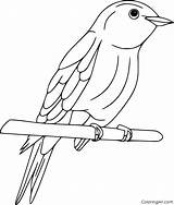 Bluebird Coloring Pages 23 Free Printables  ColoringAll sketch template