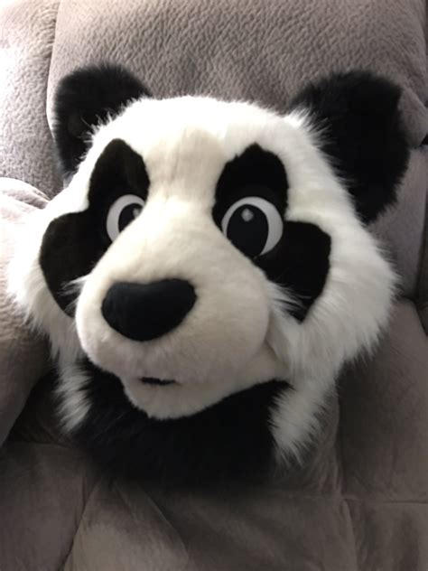 Midori on | Panda head, Fursuit, Furry