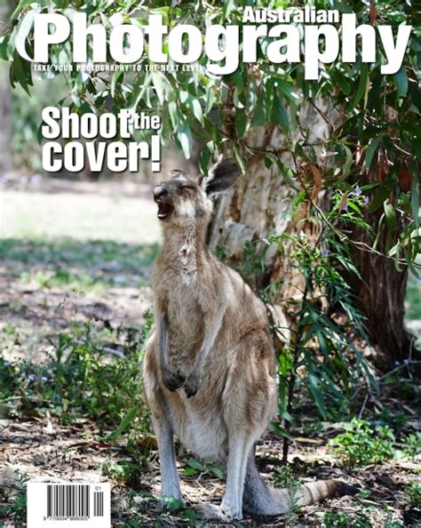 Laughing Kangaroo - Australian Photography