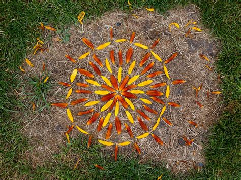 Rangoli Natur Kunst Landlig Stil - Gratis foto på Pixabay - Pixabay