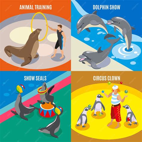 Free Vector | Animal training circus clown dolphin and seals show isometric compositions