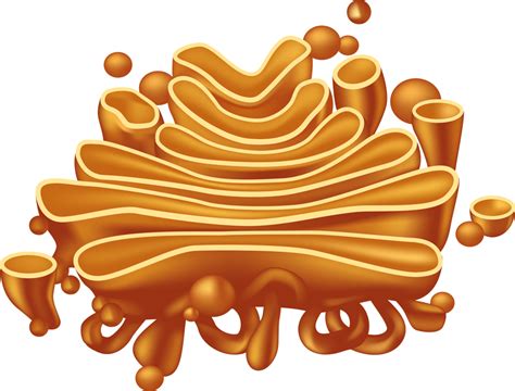 Biology- Endomembrane system-I | askIITians