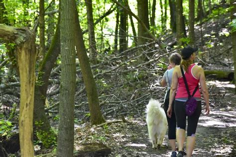 Hiking the Snowshoe Trails at Afton State Park • Twin Cities Outdoors