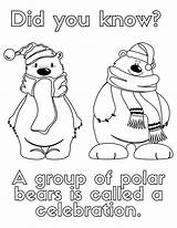 Free Polar Bear Coloring Pages For Kids And Adults sketch template
