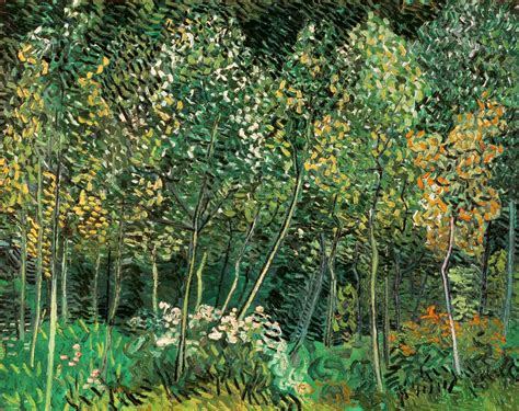 van Gogh / Small forest / July 1890 - Vincent van Gogh as art print or ...