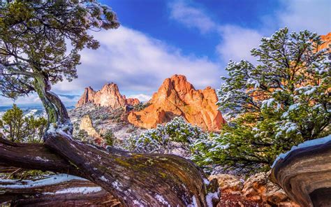 Garden Of The Gods Colorado Winter Snow Old Pine Tree Sky Clouds Landscape : Wallpapers13.com