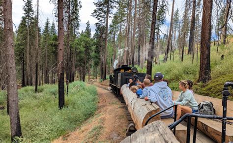 Ultimate Guide To Visiting Yosemite Mountain Sugar Pine Railroad