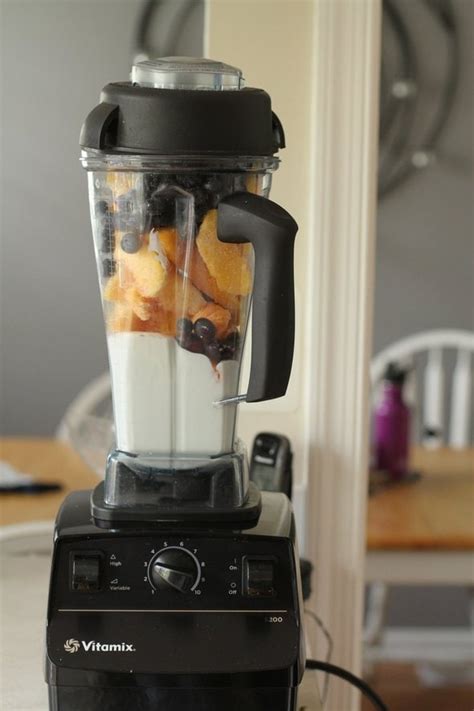 Vitamix 7500 Blender Recipes | Dandk Organizer