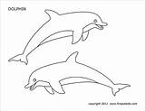 Dolphin  Free Printable Templates & Coloring Pages FirstPalettecom sketch template