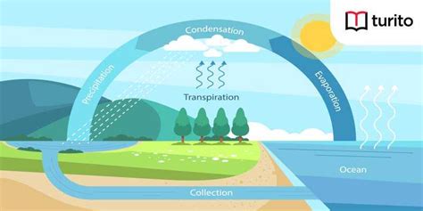 What is Hydrosphere? Examples, Facts and Faqs - Turito