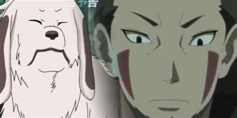 'Boruto' Has 'Naruto' Fans Worried About Akamaru