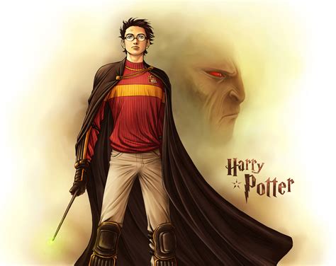 Harry and Voldemort - Harry Potter and Lord Voldemort Fan Art (7589949) - Fanpop