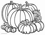 60  Free Thanksgiving Coloring Pages Printables For Kids & Adults sketch template