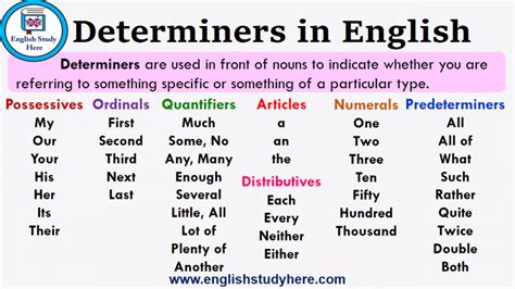 Determiners in English | English study, English grammar notes, Determiners