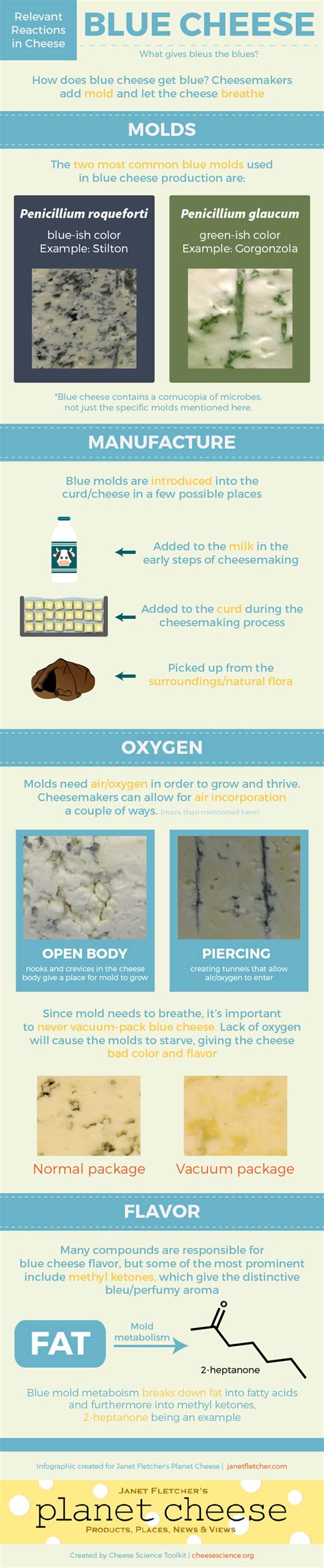 9. Blue Cheese - Everything You Need to Know About Cheese (35 Infographics)