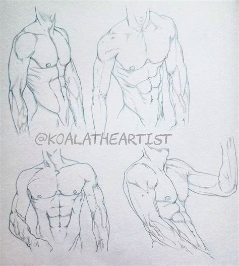 Male Anatomy 2 (Chest / Abs) by KoalaTheArtist on DeviantArt