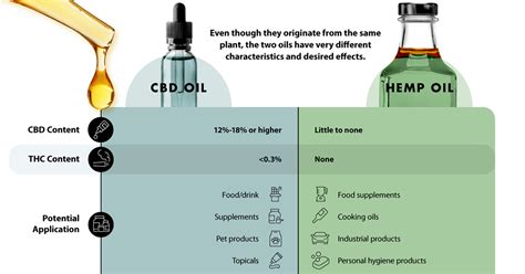 Visualizing the Difference Between CBD oil and Hemp Oil