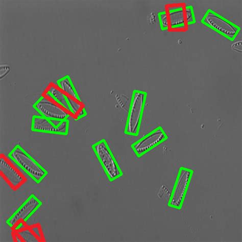 Rotated bounding box detection from YOLOv5 using CLEURIE (top row) and... | Download Scientific ...