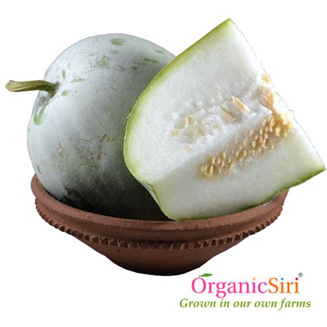 Organic Ash Gourd 1pc - 100% OrganicSiri® Grown Produce - Organic Farm ...