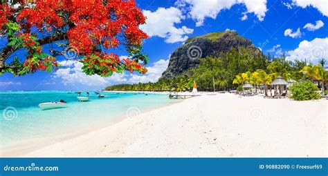 Beautiful Beaches of Sunny Mauritius Island. Tropical Vacations Stock Photo - Image of scenery ...