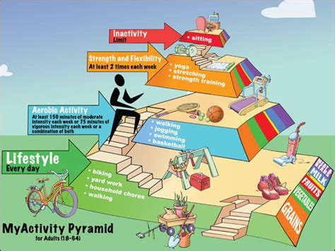 Activity Pyramid for Adults - University of Missouri Extension Publication | Pyramids, Physical ...